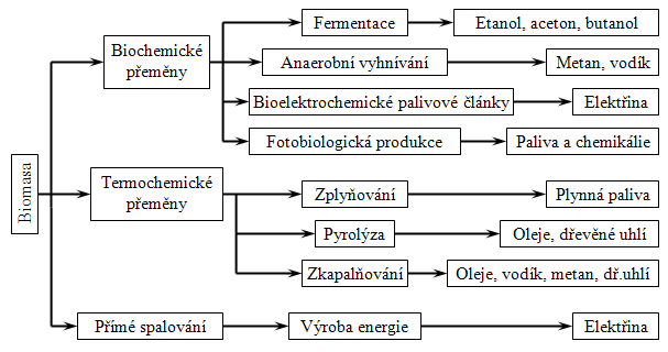 Obr. 1 Procesy pemny biomasy na energii [9]