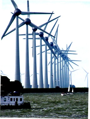 Skupina 13 větrných elektráren Enercon E-126 s výkonem po 7,5 MW na břehu  polderu Nordoostpolder Foto B. Koč