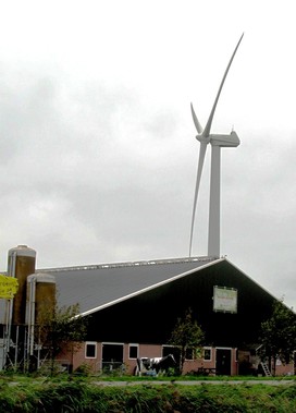 Větrné elektrárny v objektech nizozemských zemědělských farem  pomáhá krýt vlastní energetické potřeby, především pro větrání  a klimatizaci stájí a pro chlazení mléka. Foto B. Koč