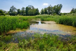 Revitalizace eky Nivniky u Uherskho Brodu