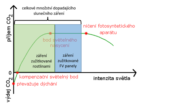 Zuitkovn dopadajcho slunenho zen. Zdroj: Oldich Sklen